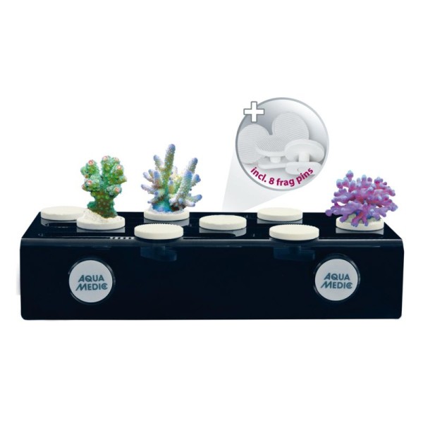 Aqua Medic frag board mag Halteplatte für coral pins