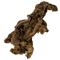 Savannenholz sandgestrahltes Wurzelholz Savannenholz sandgestrahltes Wurzelholz