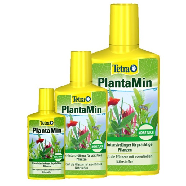 Tetra Planta Min