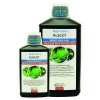 Easy Life AlgExit Easy Life AlgExit