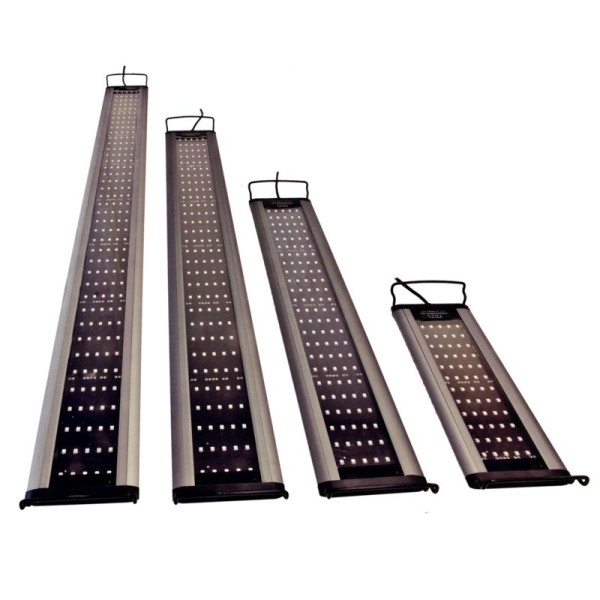 Aqua Medic Meerwasser LED sunbeam