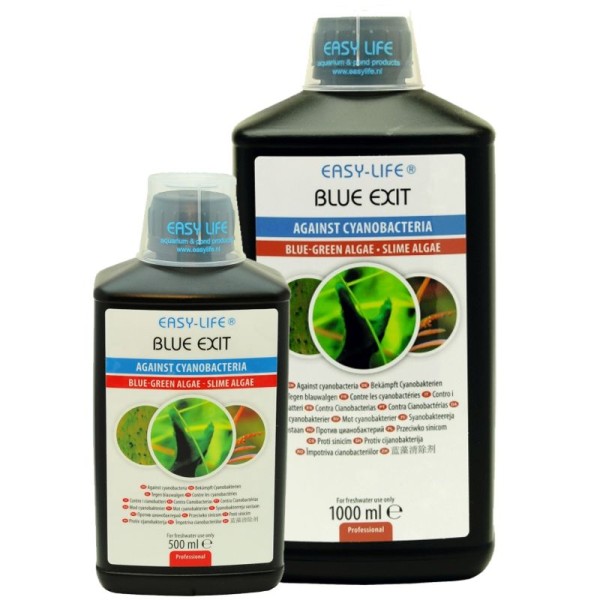 Easy Life Blue Exit