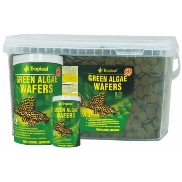 Tropical Green Algae Wafers